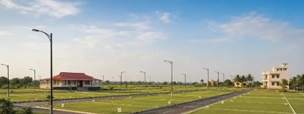 Developed plots & internal road